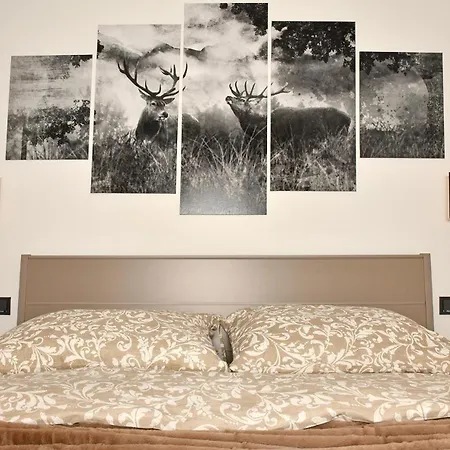 Appartamento Edelschwarz Westendorf